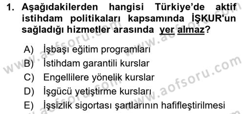 Türkiye Ekonomisi Dersi 2024 - 2025 Yılı (Final) Dönem Sonu Sınav Soruları 1. Soru