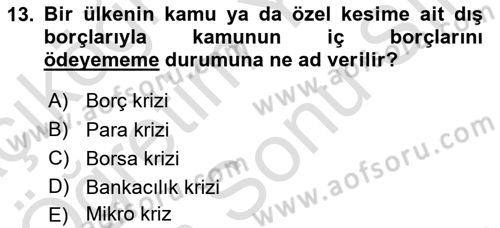 Türkiye Ekonomisi Dersi 2024 - 2025 Yılı (Final) Dönem Sonu Sınav Soruları 13. Soru