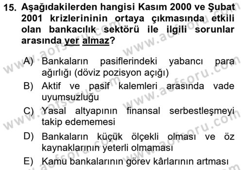 Türkiye Ekonomisi Dersi 2024 - 2025 Yılı (Final) Dönem Sonu Sınav Soruları 15. Soru