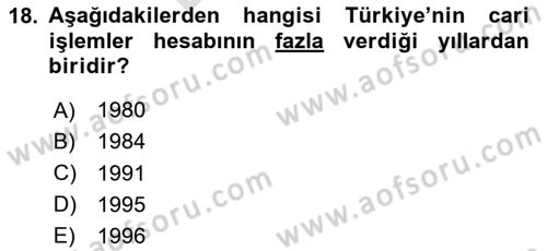 Türkiye Ekonomisi Dersi 2024 - 2025 Yılı (Final) Dönem Sonu Sınav Soruları 18. Soru