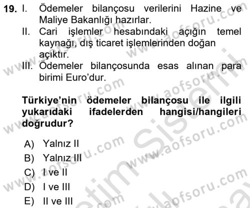 Türkiye Ekonomisi Dersi 2024 - 2025 Yılı (Final) Dönem Sonu Sınav Soruları 19. Soru