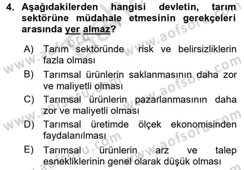 Türkiye Ekonomisi Dersi 2024 - 2025 Yılı (Final) Dönem Sonu Sınav Soruları 4. Soru