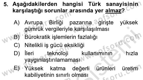 Türkiye Ekonomisi Dersi 2024 - 2025 Yılı (Final) Dönem Sonu Sınav Soruları 5. Soru