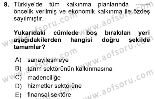 Türkiye Ekonomisi Dersi 2024 - 2025 Yılı (Final) Dönem Sonu Sınav Soruları 8. Soru