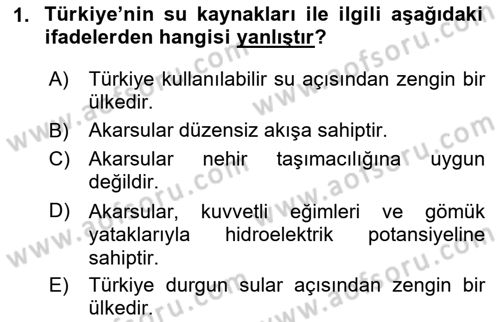 Türkiye Ekonomisi Dersi 2024 - 2025 Yılı Yaz Okulu Sınav Soruları 1. Soru