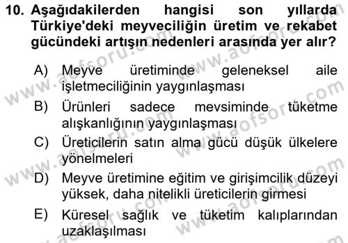 Türkiye Ekonomisi Dersi 2024 - 2025 Yılı Yaz Okulu Sınav Soruları 10. Soru