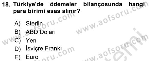 Türkiye Ekonomisi Dersi 2024 - 2025 Yılı Yaz Okulu Sınav Soruları 18. Soru