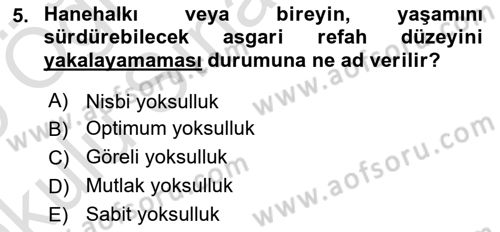 Türkiye Ekonomisi Dersi 2024 - 2025 Yılı Yaz Okulu Sınav Soruları 5. Soru