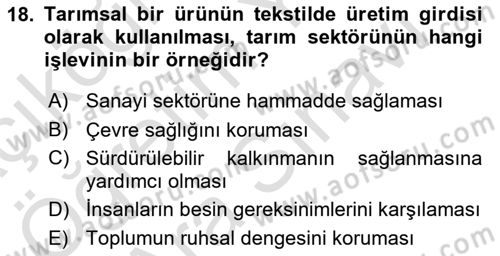 Türkiye Ekonomisi Dersi 2025 - 2026 Yılı (Vize) Ara Sınav Soruları 18. Soru