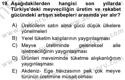 Türkiye Ekonomisi Dersi 2025 - 2026 Yılı (Vize) Ara Sınav Soruları 19. Soru