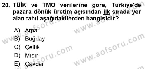 Türkiye Ekonomisi Dersi 2025 - 2026 Yılı (Vize) Ara Sınav Soruları 20. Soru