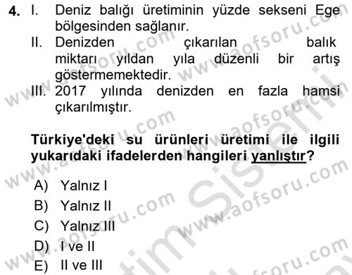 Türkiye Ekonomisi Dersi 2025 - 2026 Yılı (Final) Dönem Sonu Sınav Soruları 4. Soru