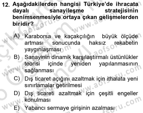 Türkiye Ekonomisi Dersi 2025 - 2026 Yılı Yaz Okulu Sınav Soruları 12. Soru