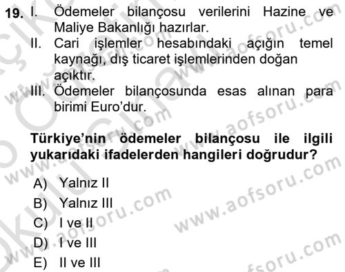 Türkiye Ekonomisi Dersi 2025 - 2026 Yılı Yaz Okulu Sınav Soruları 19. Soru