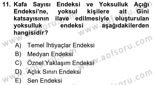 İktisadi Kalkınma Dersi 2017 - 2018 Yılı 3 Ders Sınav Soruları 11. Soru