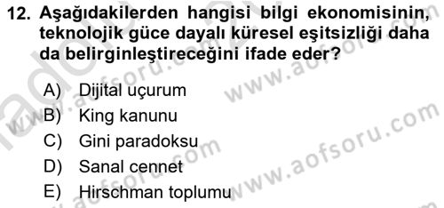 İktisadi Kalkınma Dersi Ara Sınavı Deneme Sınav Soruları 12. Soru
