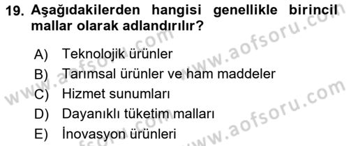 İktisadi Kalkınma Dersi 2018 - 2019 Yılı 3 Ders Sınav Soruları 19. Soru