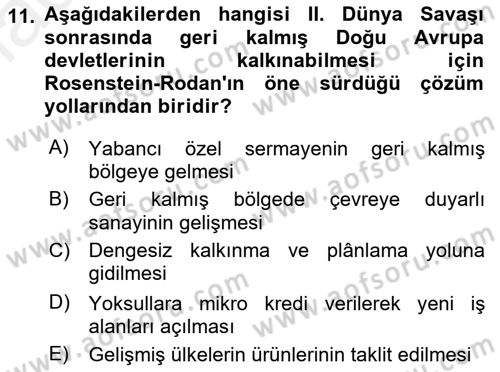 İktisadi Kalkınma Dersi 2018 - 2019 Yılı (Vize) Ara Sınav Soruları 11. Soru