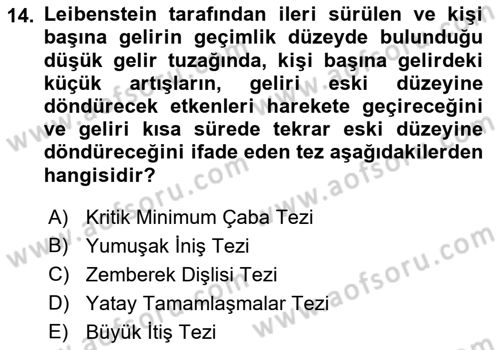İktisadi Kalkınma Dersi Ara Sınavı Deneme Sınav Soruları 14. Soru