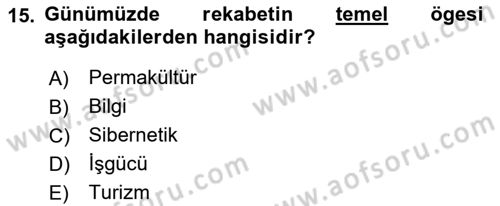 İktisadi Kalkınma Dersi Ara Sınavı Deneme Sınav Soruları 15. Soru