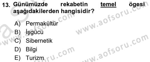 İktisadi Kalkınma Dersi Ara Sınavı Deneme Sınav Soruları 13. Soru