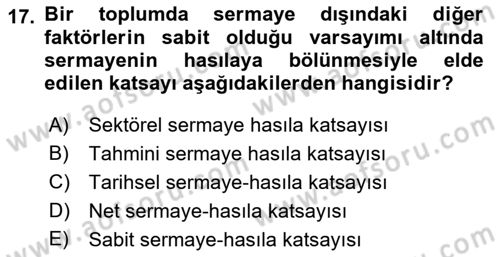 İktisadi Kalkınma Dersi Ara Sınavı Deneme Sınav Soruları 17. Soru