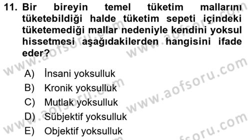 İktisadi Kalkınma Dersi 2021 - 2022 Yılı (Final) Dönem Sonu Sınav Soruları 11. Soru
