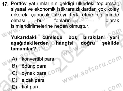 İktisadi Kalkınma Dersi Ara Sınavı Deneme Sınav Soruları 17. Soru