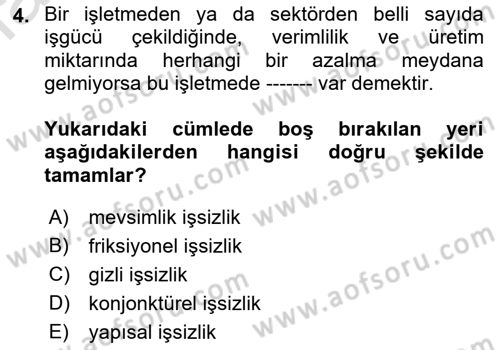 İktisadi Kalkınma Dersi Ara Sınavı Deneme Sınav Soruları 4. Soru