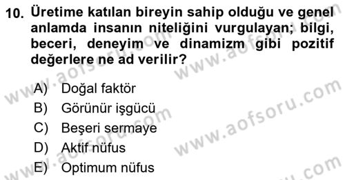 İktisadi Kalkınma Dersi 2022 - 2023 Yılı (Final) Dönem Sonu Sınavı 10. Soru