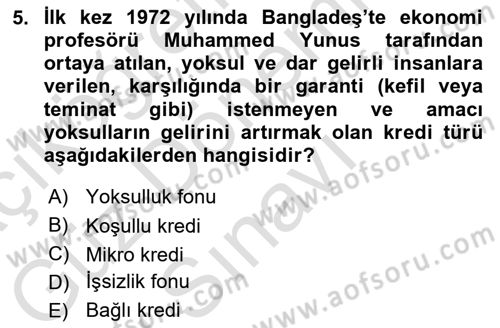 İktisadi Kalkınma Dersi 2022 - 2023 Yılı (Final) Dönem Sonu Sınavı 5. Soru