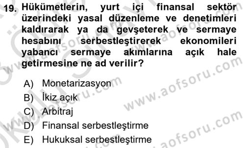 İktisadi Kalkınma Dersi 2022 - 2023 Yılı Yaz Okulu Sınav Soruları 19. Soru