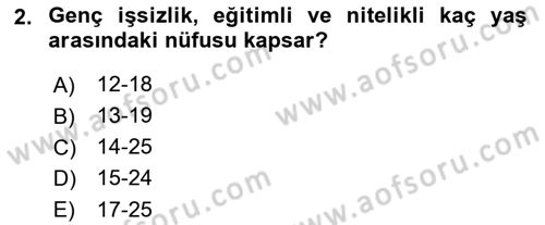 İktisadi Kalkınma Dersi Ara Sınavı Deneme Sınav Soruları 2. Soru