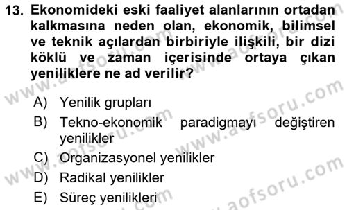 İktisadi Kalkınma Dersi 2023 - 2024 Yılı (Final) Dönem Sonu Sınav Soruları 13. Soru