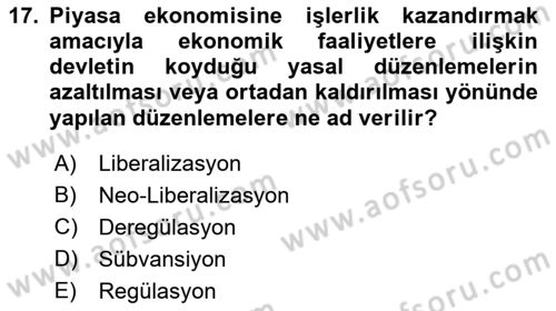İktisadi Kalkınma Dersi 2023 - 2024 Yılı (Final) Dönem Sonu Sınav Soruları 17. Soru