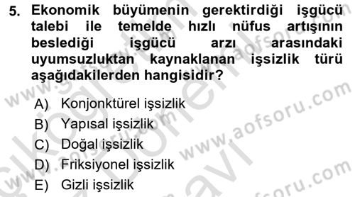 İktisadi Kalkınma Dersi 2023 - 2024 Yılı (Final) Dönem Sonu Sınav Soruları 5. Soru