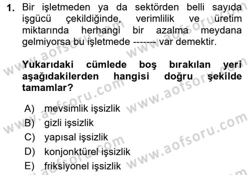 İktisadi Kalkınma Dersi 2024 - 2025 Yılı (Vize) Ara Sınav Soruları 1. Soru