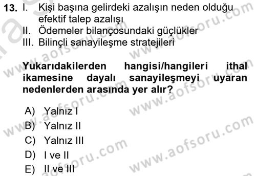 İktisadi Kalkınma Dersi 2024 - 2025 Yılı (Vize) Ara Sınav Soruları 13. Soru