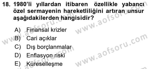 İktisadi Kalkınma Dersi 2024 - 2025 Yılı (Vize) Ara Sınav Soruları 18. Soru