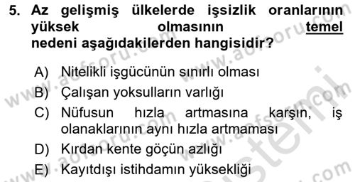 İktisadi Kalkınma Dersi 2024 - 2025 Yılı (Vize) Ara Sınav Soruları 5. Soru