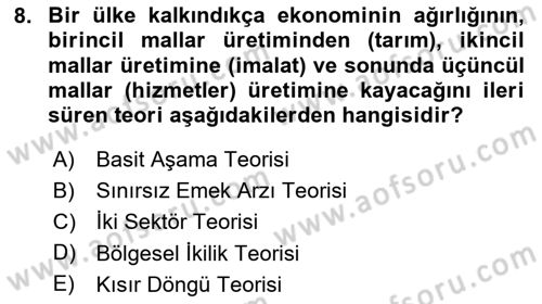 İktisadi Kalkınma Dersi 2024 - 2025 Yılı (Vize) Ara Sınav Soruları 8. Soru