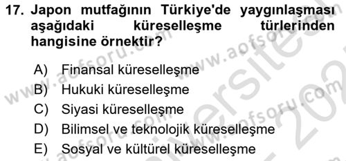 İktisadi Kalkınma Dersi 2024 - 2025 Yılı (Final) Dönem Sonu Sınav Soruları 17. Soru