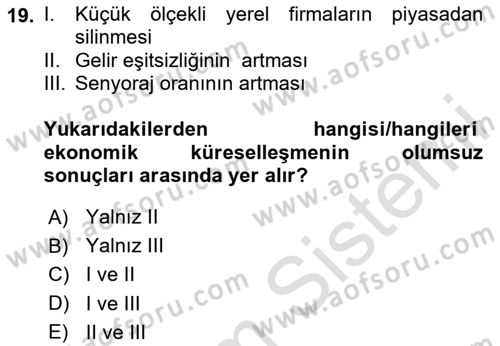 İktisadi Kalkınma Dersi 2024 - 2025 Yılı (Final) Dönem Sonu Sınav Soruları 19. Soru