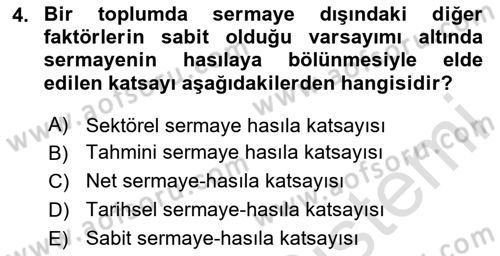 İktisadi Kalkınma Dersi 2024 - 2025 Yılı (Final) Dönem Sonu Sınav Soruları 4. Soru