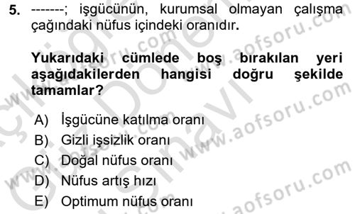 İktisadi Kalkınma Dersi 2024 - 2025 Yılı (Final) Dönem Sonu Sınav Soruları 5. Soru