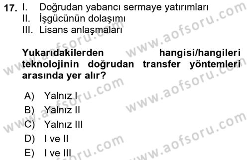 İktisadi Kalkınma Dersi 2024 - 2025 Yılı Yaz Okulu Sınav Soruları 17. Soru