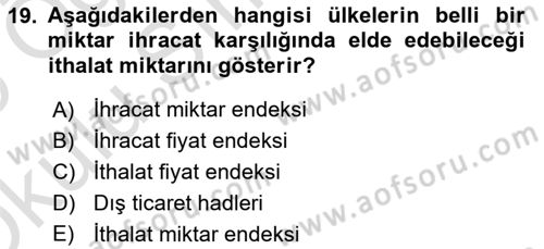 İktisadi Kalkınma Dersi 2024 - 2025 Yılı Yaz Okulu Sınav Soruları 19. Soru