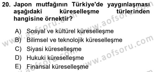 İktisadi Kalkınma Dersi 2024 - 2025 Yılı Yaz Okulu Sınav Soruları 20. Soru