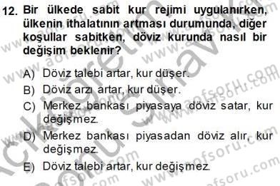 Finansal Ekonomi Dersi 2013 - 2014 Yılı (Final) Dönem Sonu Sınav Soruları 12. Soru