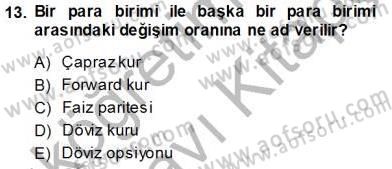 Finansal Ekonomi Dersi 2013 - 2014 Yılı Tek Ders Sınav Soruları 13. Soru